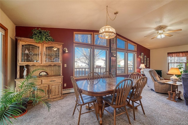 1 Silver Spruce Dr, Salida, CO 81201 - photo 17