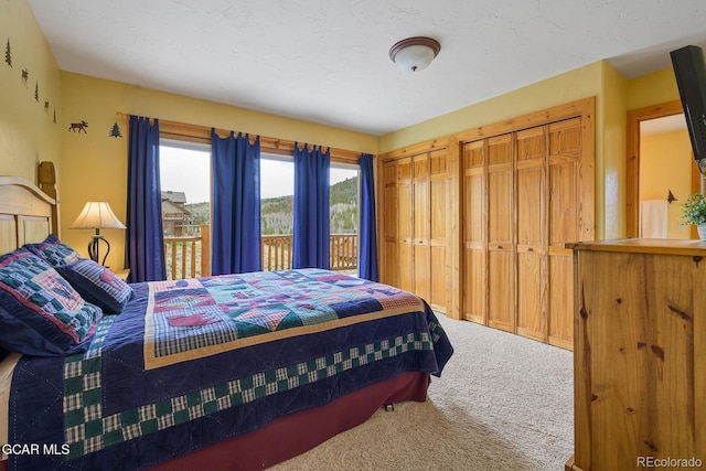 62 897, Grand Lake, CO 80447 - carpeted bedroom with two closets