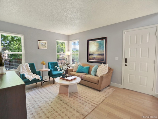 453 Arden Cir, Highlands Ranch, CO 80126 - living room with light wood-style flooring and a textured ceiling