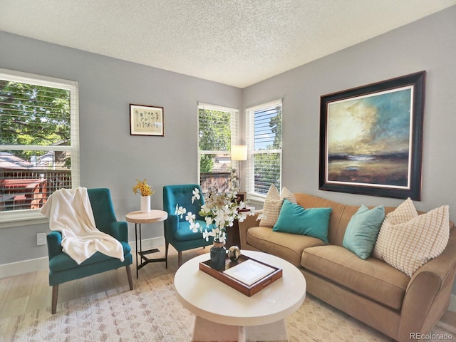 453 Arden Cir, Highlands Ranch, CO 80126 - living room featuring wood finished floors and a textured ceiling