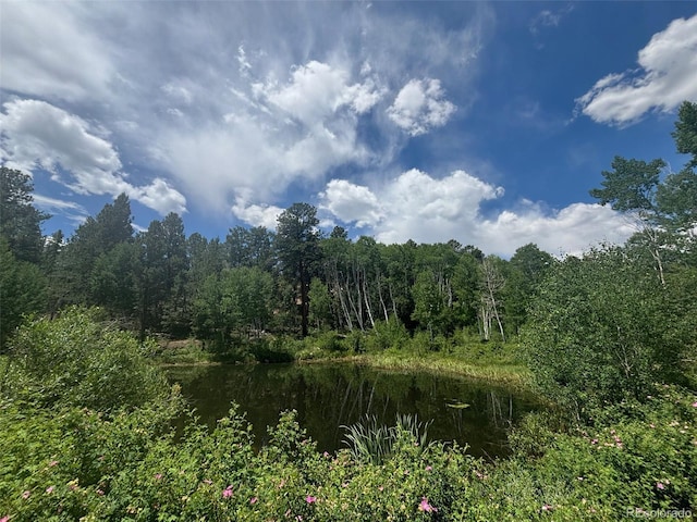 14750 Quartz Cir, Salida, CO 81201 - photo 1