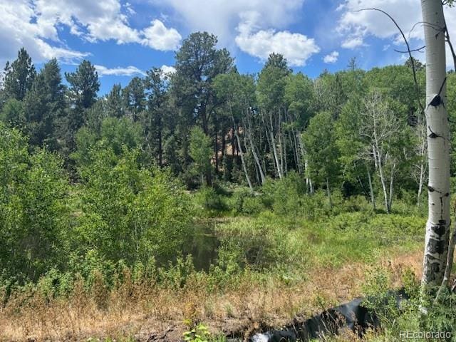 14750 Quartz Cir, Salida, CO 81201 - photo 2
