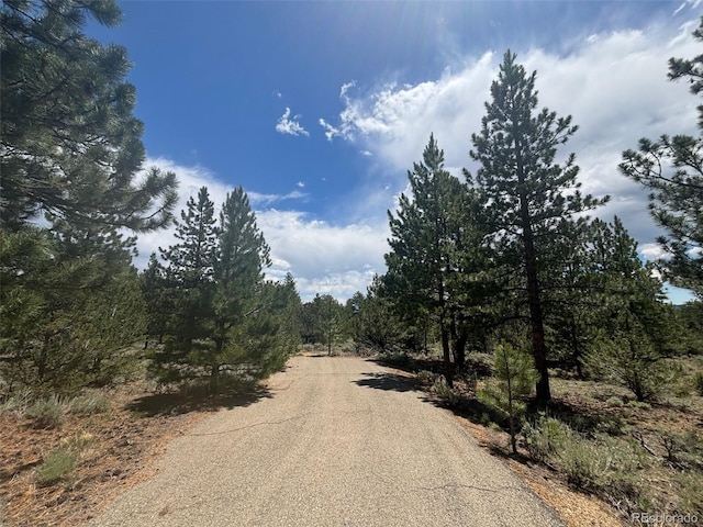 14750 Quartz Cir, Salida, CO 81201 - photo 3