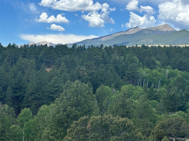 14750 Quartz Cir, Salida, CO 81201 - photo 4