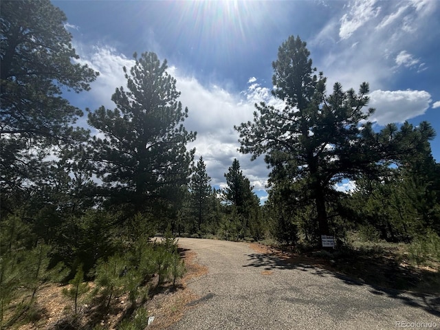 14750 Quartz Cir, Salida, CO 81201 - photo 5