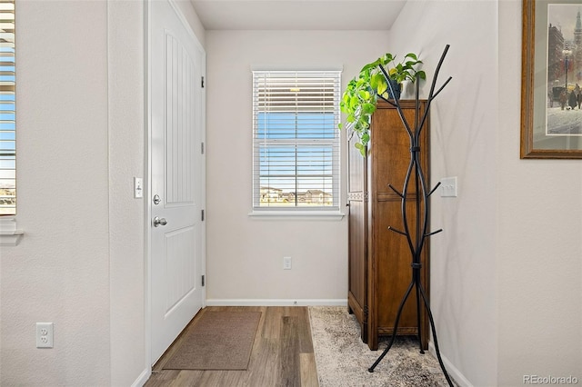 doorway to outside with light hardwood / wood-style floors