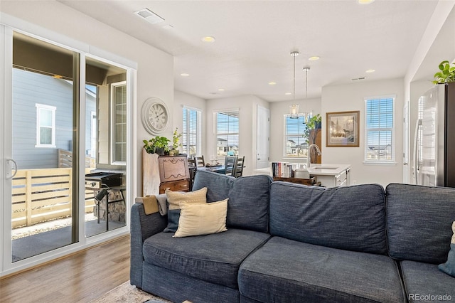 living room with wood-type flooring and sink