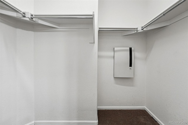 13020 Grant Cir W Unit A, Thornton, CO 80241 - walk in closet featuring carpet floors