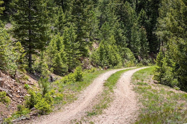 1259 Chute Rd, Golden, CO 80403 - photo 3