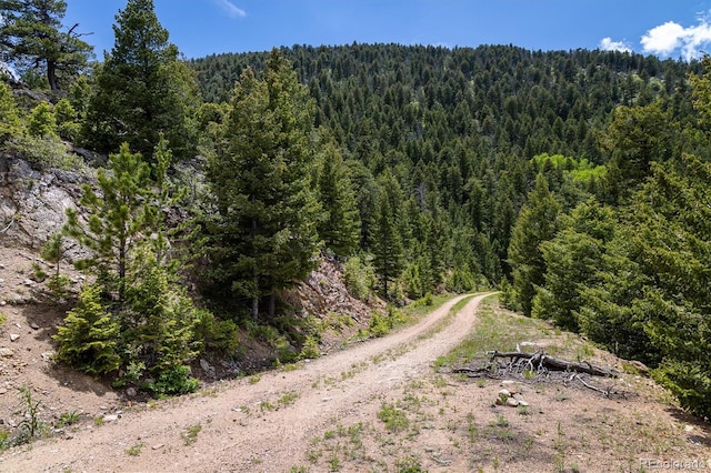 1259 Chute Rd, Golden, CO 80403 - photo 4