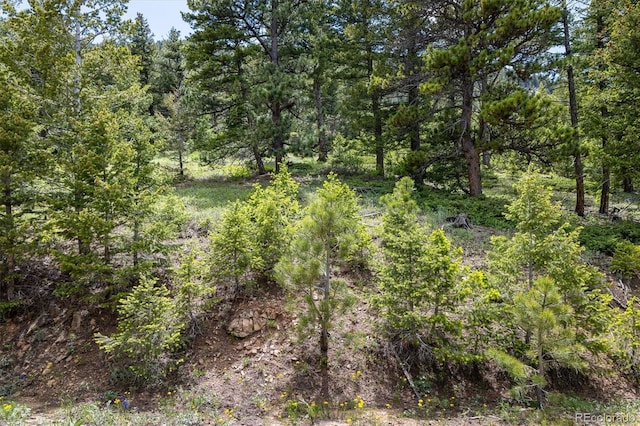 1259 Chute Rd, Golden, CO 80403 - photo 6