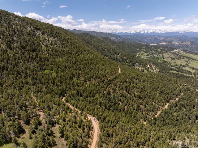 1259 Chute Rd, Golden, CO 80403 - photo 7