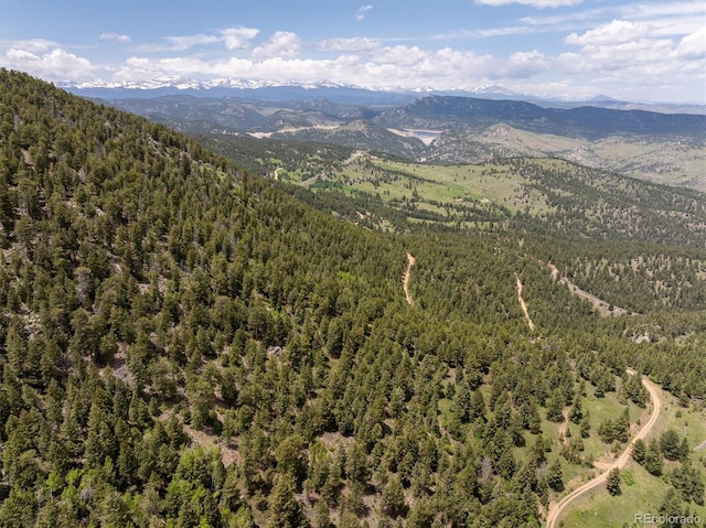 1259 Chute Rd, Golden, CO 80403 - photo 8
