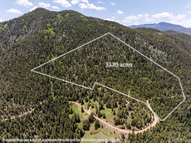 1259 Chute Rd, Golden, CO 80403 - photo 9