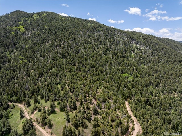 1259 Chute Rd, Golden, CO 80403 - photo 10