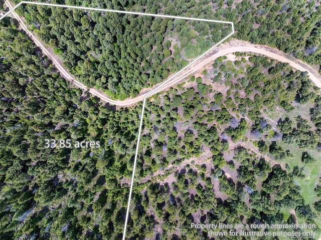 1259 Chute Rd, Golden, CO 80403 - photo 13