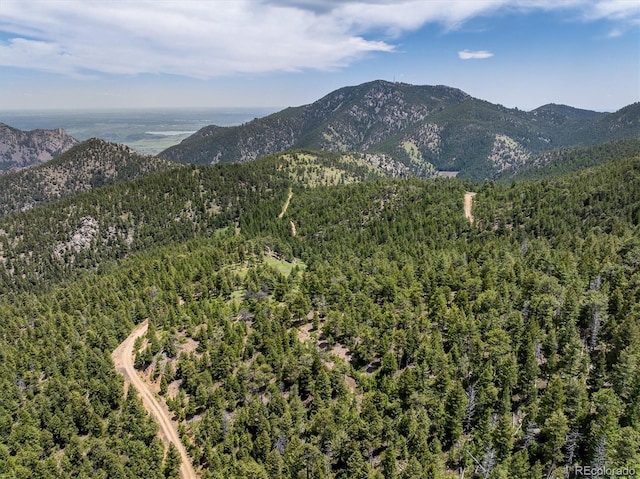 1259 Chute Rd, Golden, CO 80403 - photo 14
