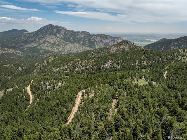 1259 Chute Rd, Golden, CO 80403 - photo 15