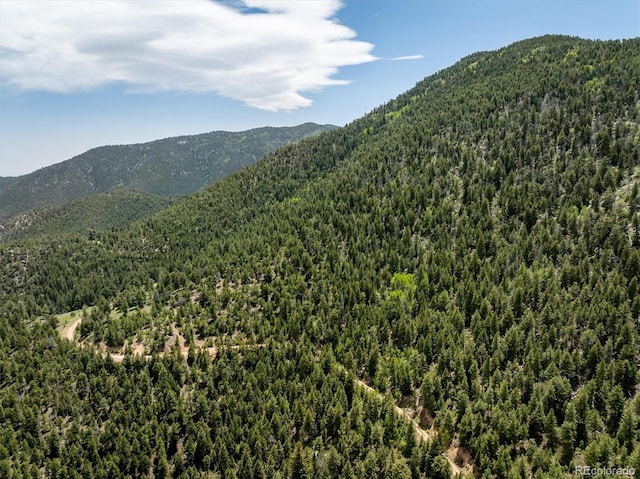 1259 Chute Rd, Golden, CO 80403 - photo 16
