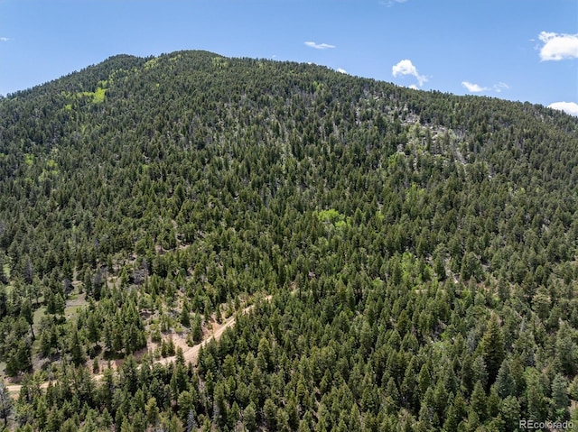 1259 Chute Rd, Golden, CO 80403 - photo 17