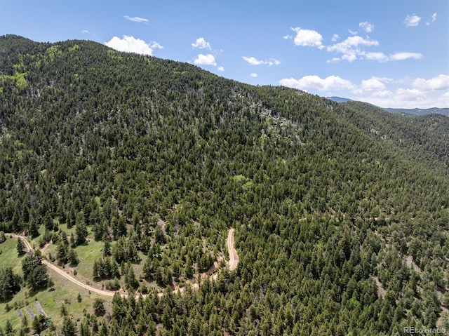 1259 Chute Rd, Golden, CO 80403 - photo 18