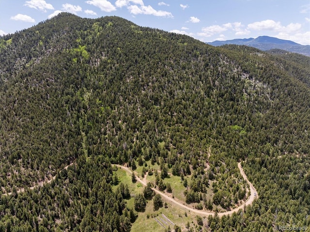 1259 Chute Rd, Golden, CO 80403 - photo 20
