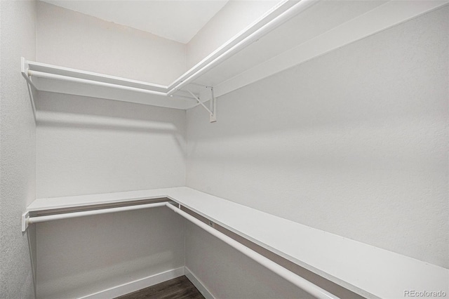 530 Everett St, Lakewood, CO 80226 - spacious closet featuring dark wood-type flooring