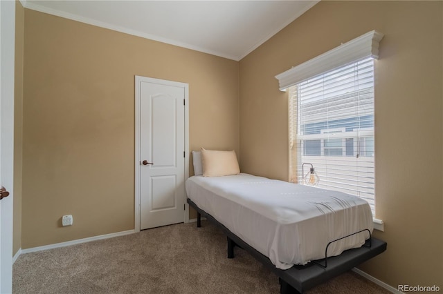 7885 Buckhorn Grn Unit 131, Frederick, CO 80530 - carpeted bedroom with crown molding and baseboards