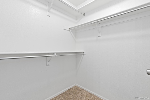2640 Overlook Dr, Broomfield, CO 80020 - walk in closet featuring carpet