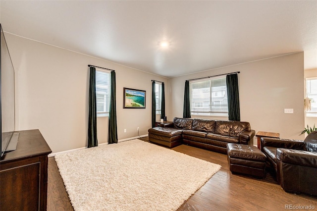 living room with baseboards, a wealth of natural light, and wood finished floors