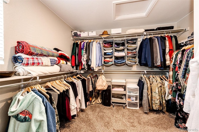 walk in closet featuring attic access and carpet flooring