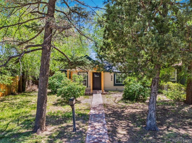 825 N Wahsatch Ave, Colorado Springs, CO 80903 - photo 29