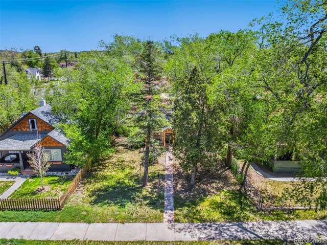 825 N Wahsatch Ave, Colorado Springs, CO 80903 - photo 32