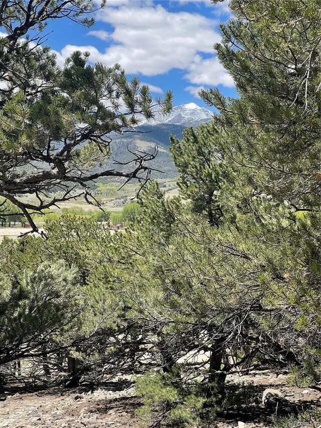 12510 Country Meadow Ln, Salida, CO 81201 - photo 5
