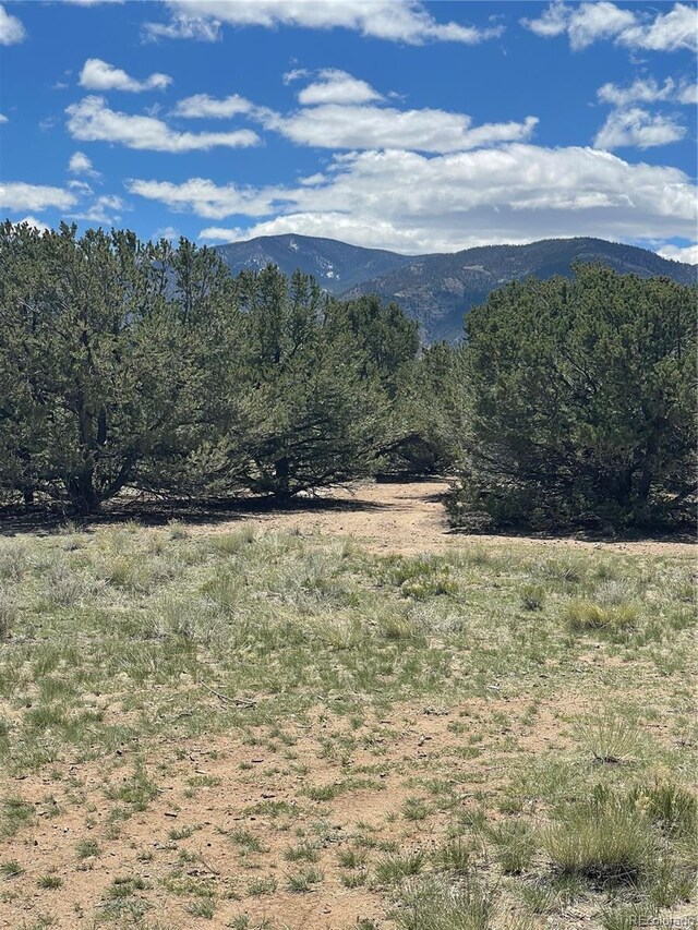 12510 Country Meadow Ln, Salida, CO 81201 - photo 7