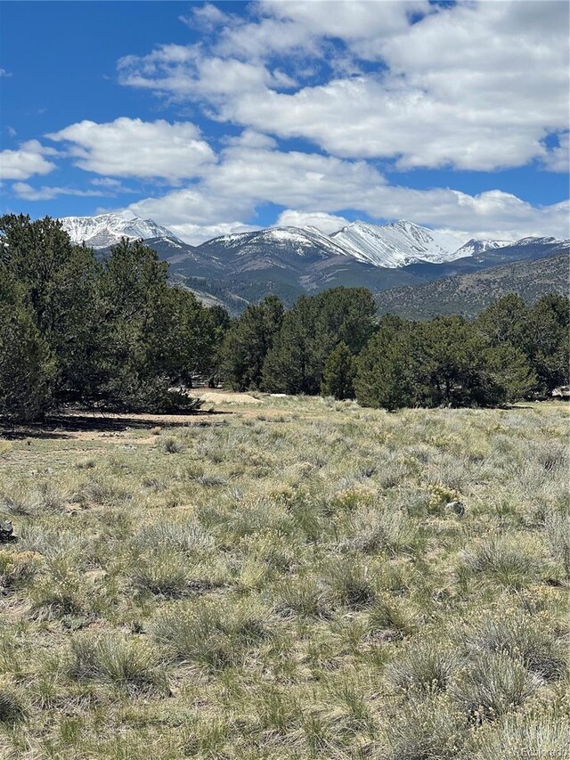 12510 Country Meadow Ln, Salida, CO 81201 - photo 9