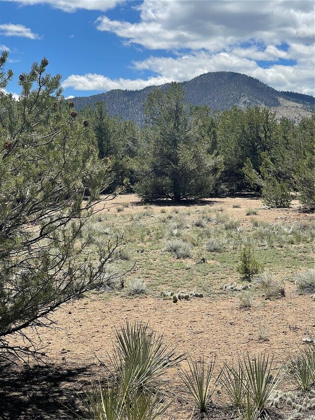 12510 Country Meadow Ln, Salida, CO 81201 - photo 10