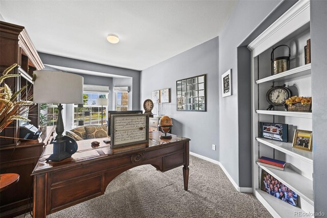11591 Bent Oaks St, Parker, CO 80138 - photo 24