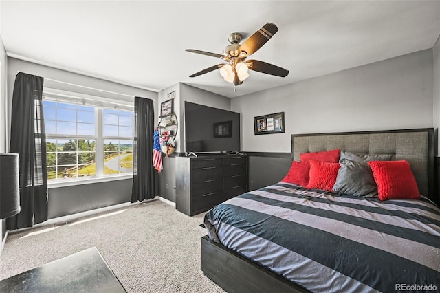 11591 Bent Oaks St, Parker, CO 80138 - photo 36