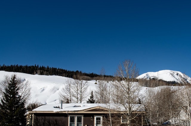 view of mountain feature