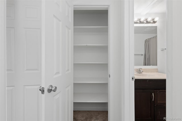 745 Thomas Dr Unit 2, Boulder, CO 80303 - closet with a sink