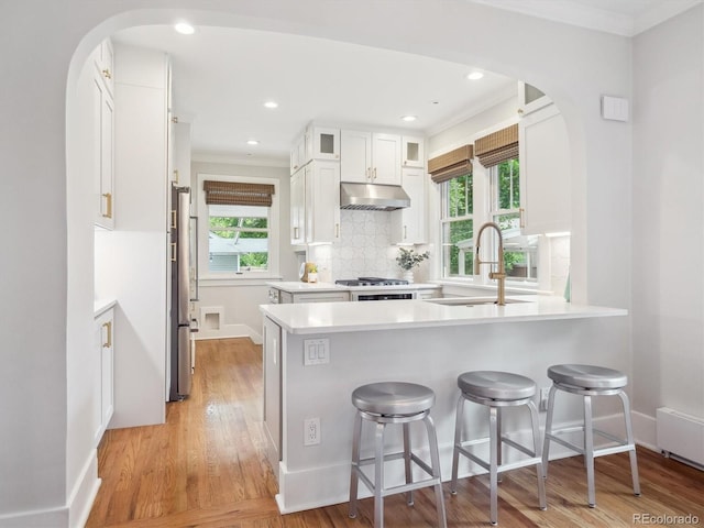 660 S Clarkson St, Denver, CO 80209 - kitchen featuring arched walkways, under cabinet range hood, a sink, a peninsula, and crown molding