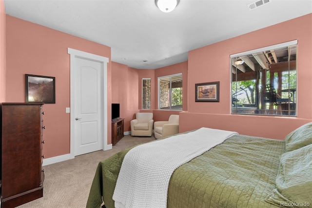 422 Suffolk Ln, Castle Rock, CO 80108 - photo 31