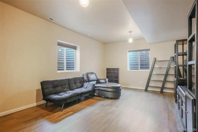 living room with hardwood / wood-style floors and a wealth of natural light