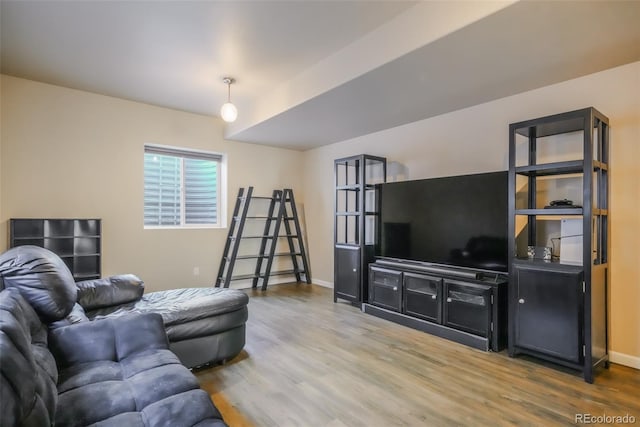 living room with wood-type flooring