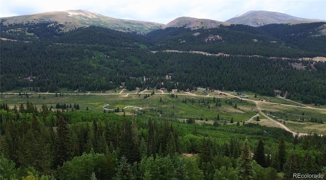 1275 Roberts Rd, Alma, CO 80420 - photo 1