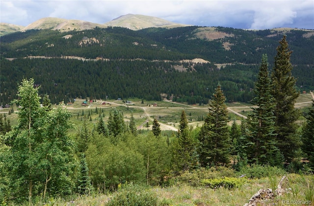 1275 Roberts Rd, Alma, CO 80420 - photo 2