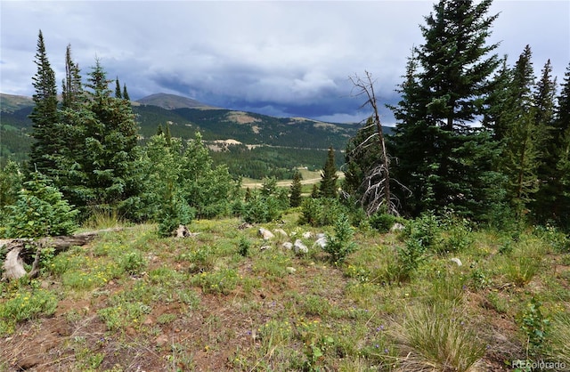 1275 Roberts Rd, Alma, CO 80420 - photo 3