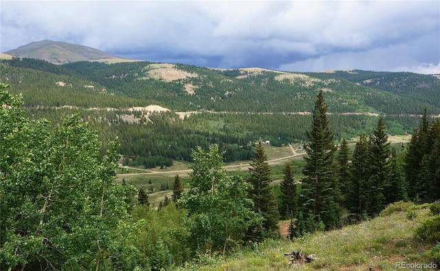 1275 Roberts Rd, Alma, CO 80420 - photo 5
