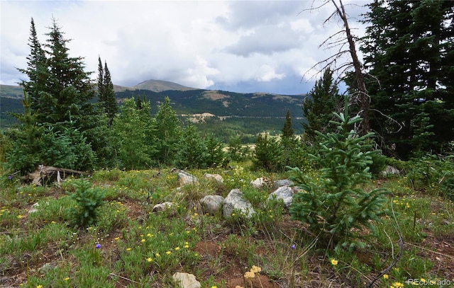 1275 Roberts Rd, Alma, CO 80420 - photo 6